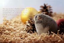 �N���X�}�X�J�[�h1